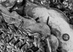 antiek kralenbeursje z. gegravee beugel3