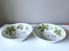 bastin schalen1