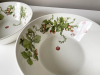 bastin schalen2