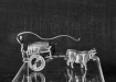 bierslee3