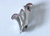 broche w of m1