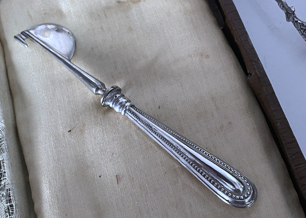 citrusschiller zilver5