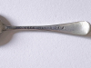 nevada silver lepeltjes plate4