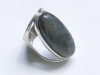 ovale labradoriet ring z.6