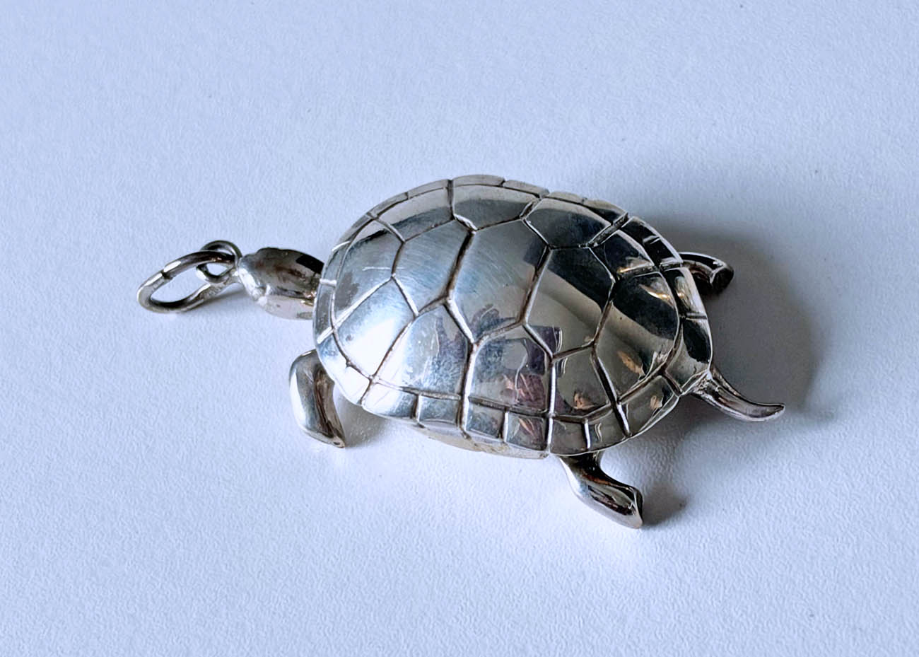 schildpad z. pillendoosje2