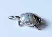 schildpad z. pillendoosje1