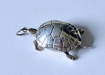 schildpad z. pillendoosje2