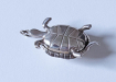 schildpad z. pillendoosje3